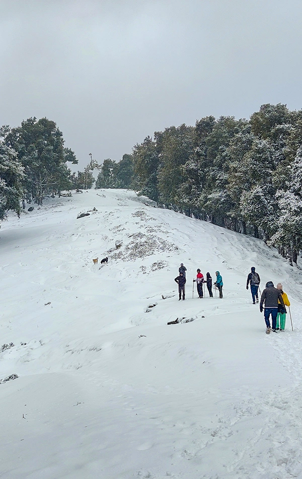 Nag Tibba Weekend Trek